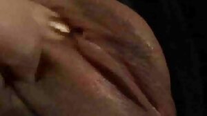 매력 POV 커억 에 수탉