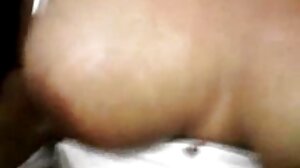 레즈비언 숙녀 먹는다 고양이 과 도착 구두의