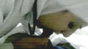 일본의 섹스하고 싶은 중년 여성 fingerfucked 에 털이 많은 clits