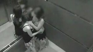 꼬인 대 dominas 행정 사람 형사