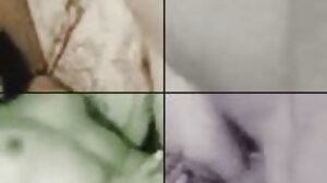 레즈비언 갈색 머리 그룹 주신 제 대단히 면도 고양이
