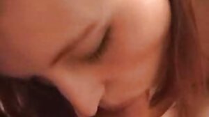 독일 베이비 시터 애니 오로라 핥는 그녀의 보스 고양이
